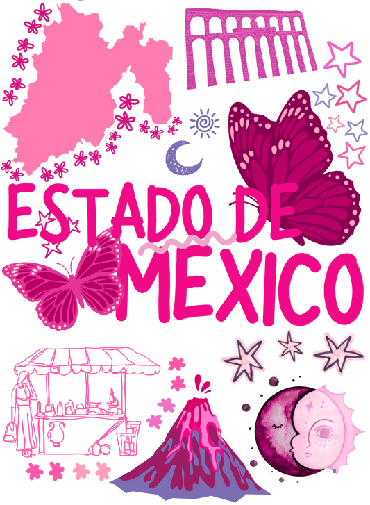 PINK ESTADOS COLLECTION CREW-NECK